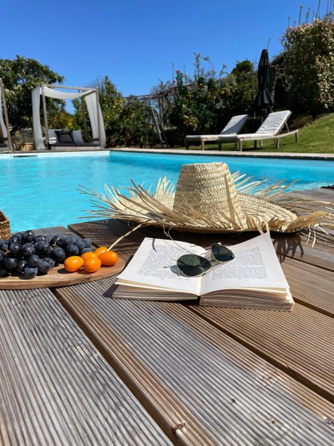 Villa D'Aurora Country Suites Ponte de Lima Exteriér fotografie